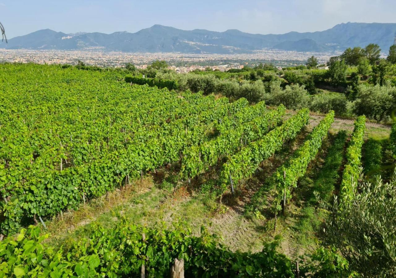 Vesuvio Inn Bed & Wine Experience Boscotrecase Kültér fotó