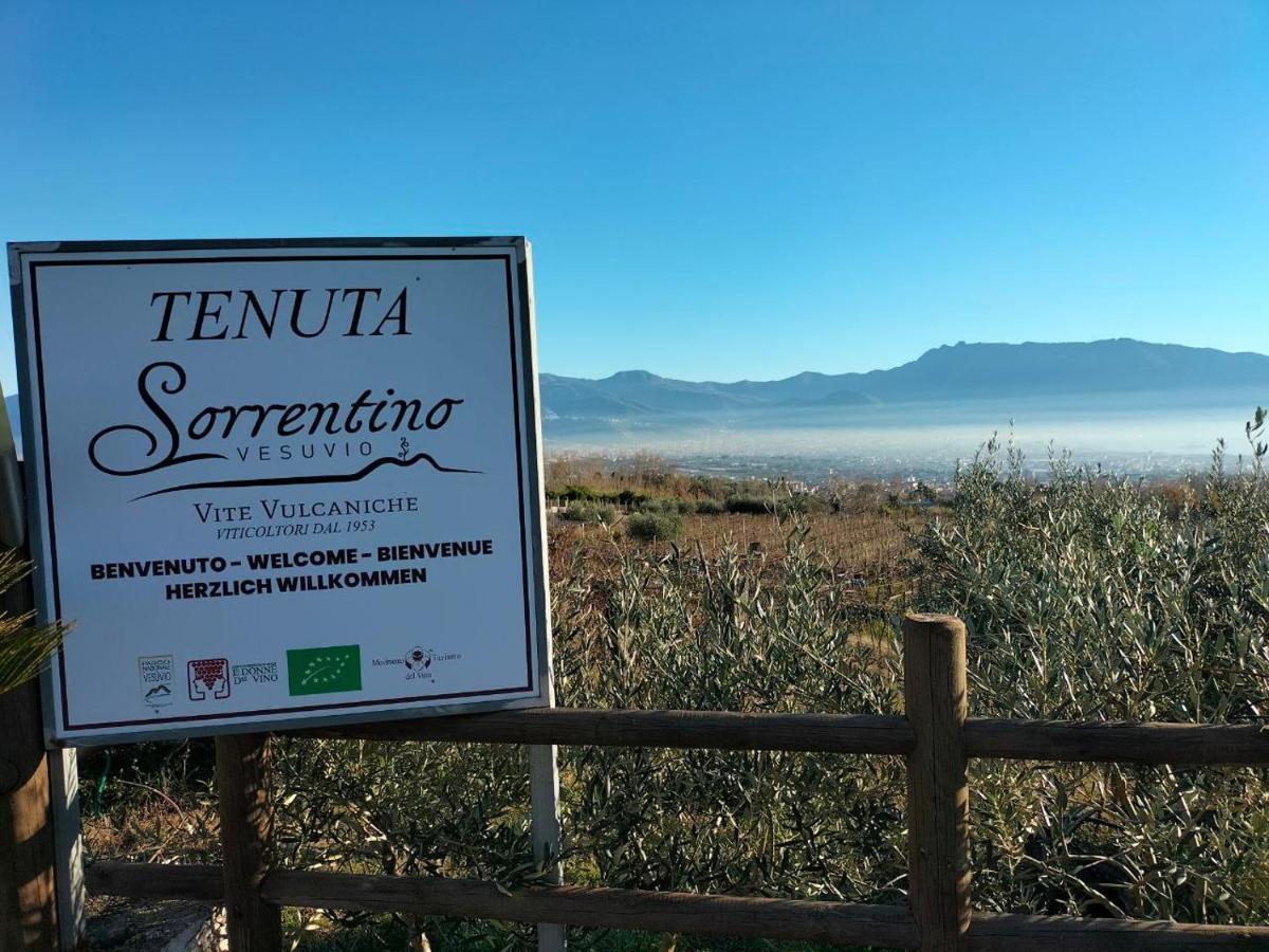 Vesuvio Inn Bed & Wine Experience Boscotrecase Kültér fotó