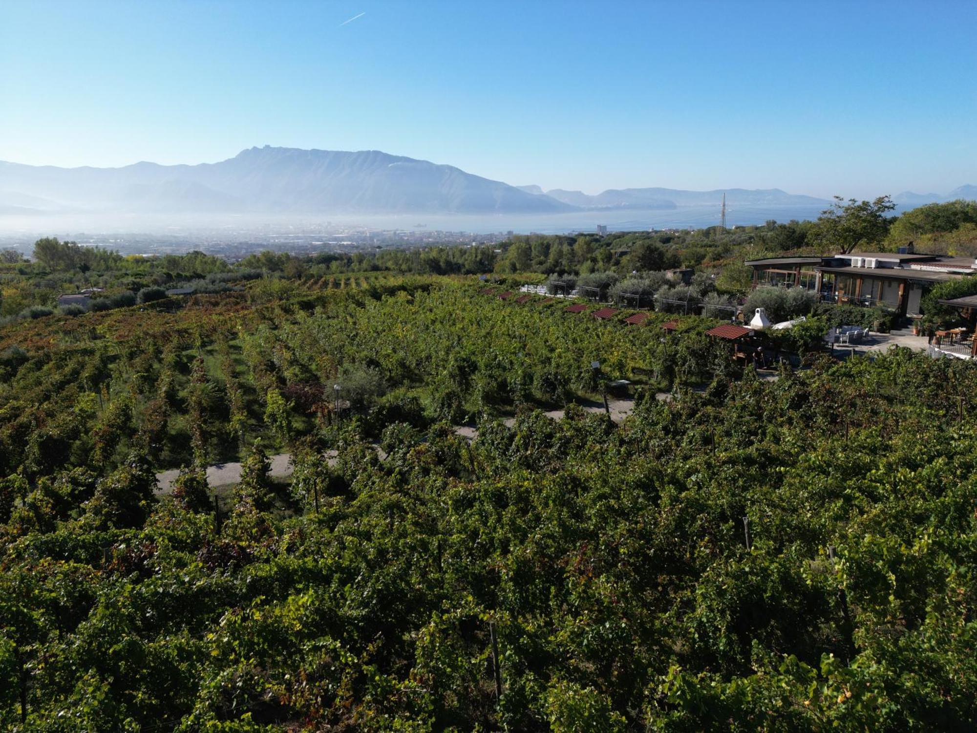 Vesuvio Inn Bed & Wine Experience Boscotrecase Kültér fotó