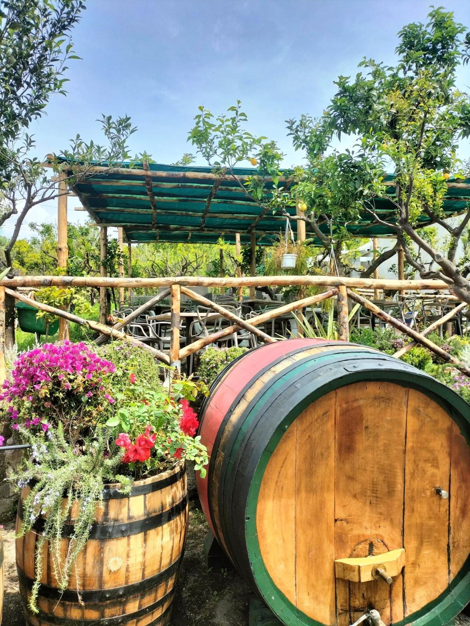 Vesuvio Inn Bed & Wine Experience Boscotrecase Kültér fotó