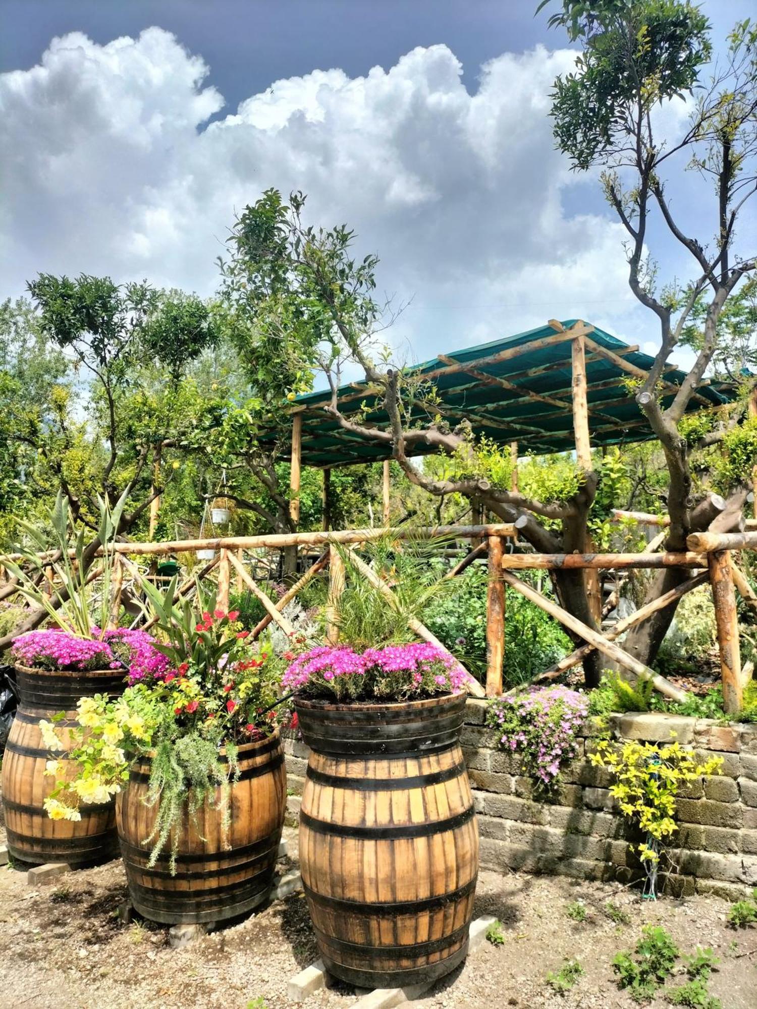 Vesuvio Inn Bed & Wine Experience Boscotrecase Kültér fotó
